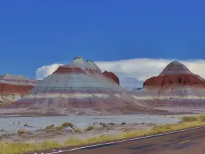 Parque nacional del Bosque Petrificado