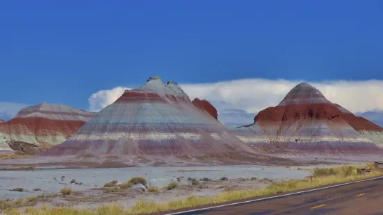 Petrified Forest National Park