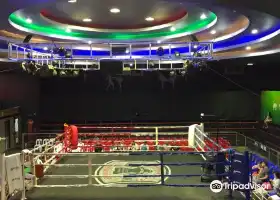 สนามมวยท่าแพ