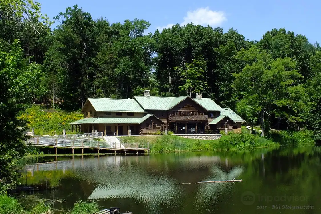 Hotels near Forest Park