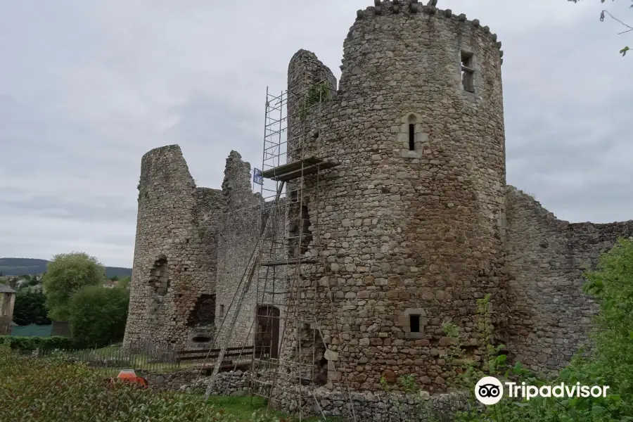 Château de Lastours