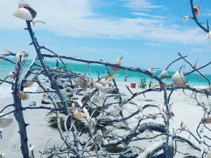 Gasparilla Island State Park