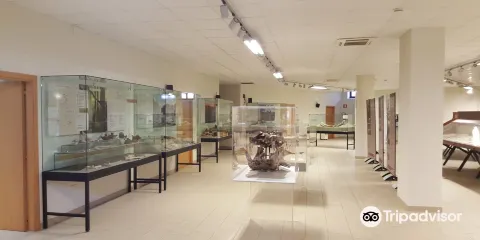 Mu.P.A. Museo Paleontologico Archeologico