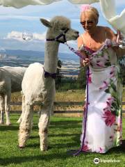 The Alpaca Trekking Center