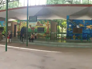Allen Forest Zoo