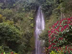 Balneario Las Musas