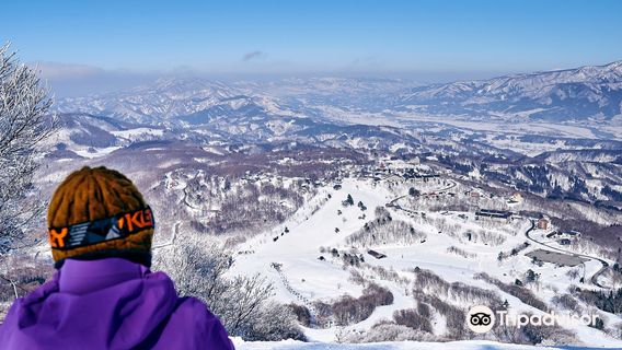 Madarao Mountain Resort