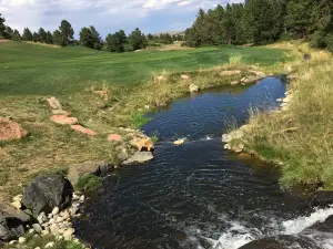 Golf Club At Bear Dance