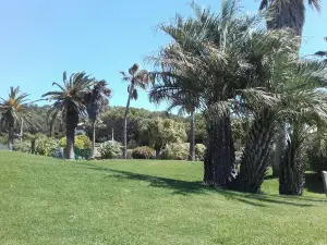 Park and Gardens of the Mediterranean