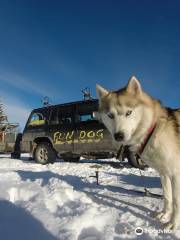 Fundog Husky Sleigh Rides