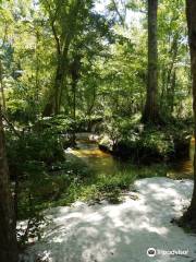 Loblolly Woods Nature Park