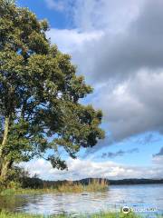 Llyn Tegid