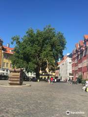 GrAbrodretorv