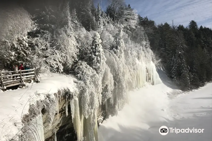 Tahquamenon Falls