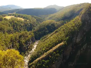 Leven Canyon