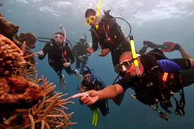 Hotels in der Nähe von Phuket Dive Shop