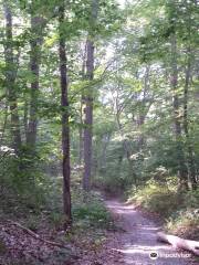 Cordwood Landing County Park