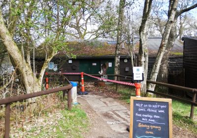 Scottish Wildlife Trust - Loch of the Lowes Visitor Centre & Wildlife Reserve