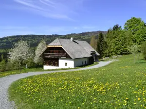 Freilichtmuseum Finsterau