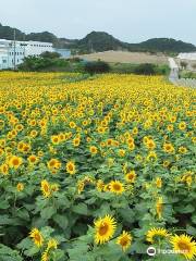 Kanko Noen Hana Hiroba Tourist Farm