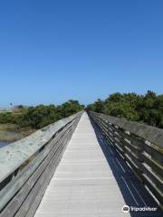 Laguna Madre Nature Trail