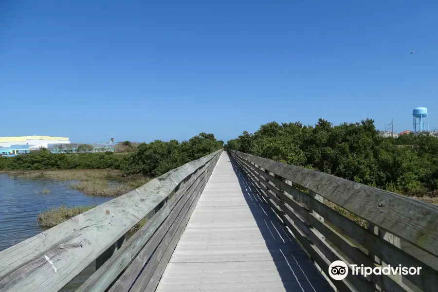 Laguna Madre Nature Trail