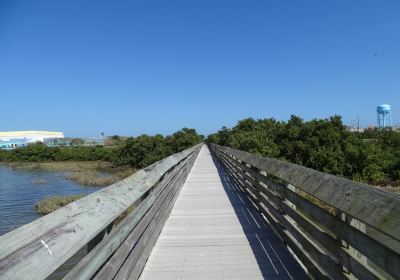 Laguna Madre Nature Trail