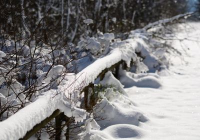 Parc Naturel des Hautes Fagnes