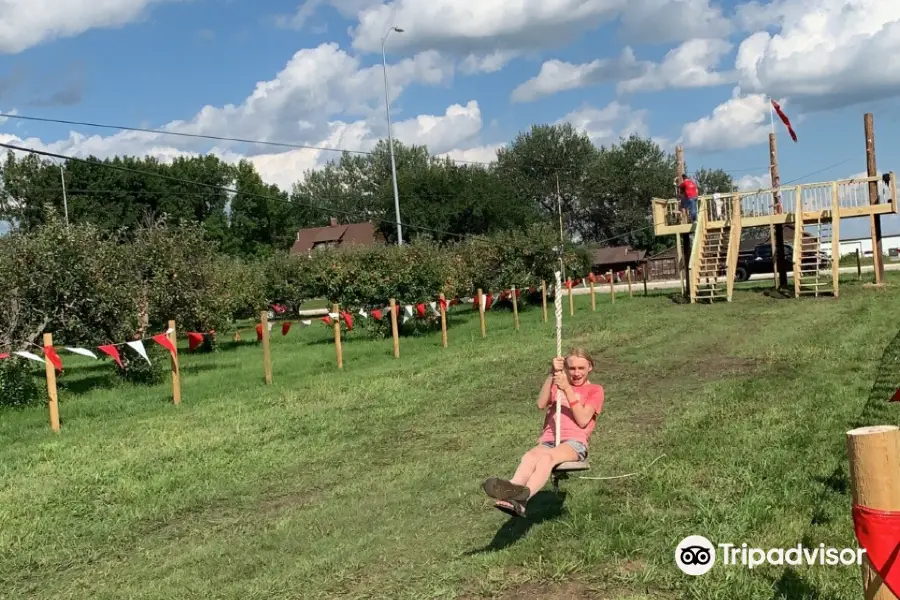 Country Apple Orchard