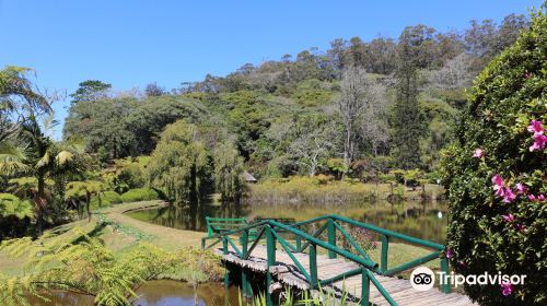 Vumba Botanical Gardens and Reserve