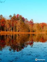 Bays Mountain Park & Planetarium