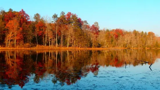 Bays Mountain Park & Planetarium