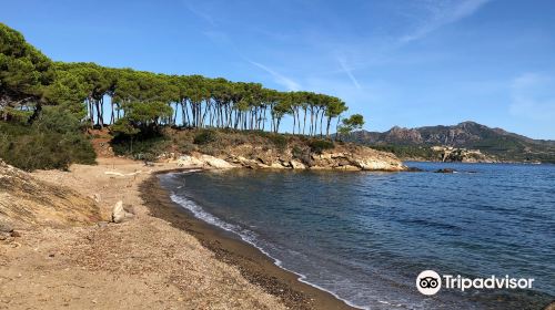 Spiaggia di Istia