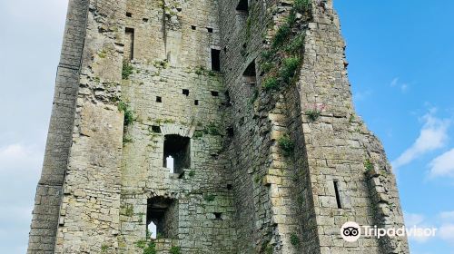 St. Mary's Abbey, Trim