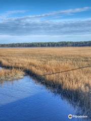 Chincoteague National Wildlife Refuge