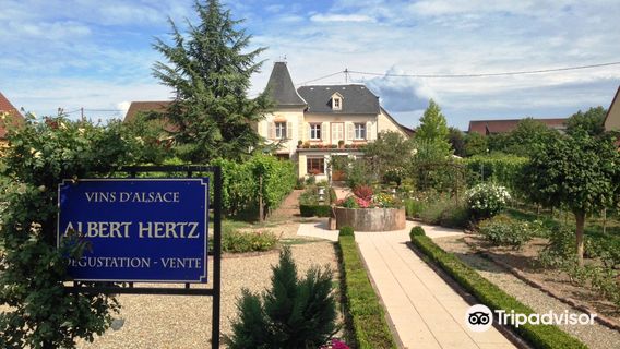 Vins Albert Hertz