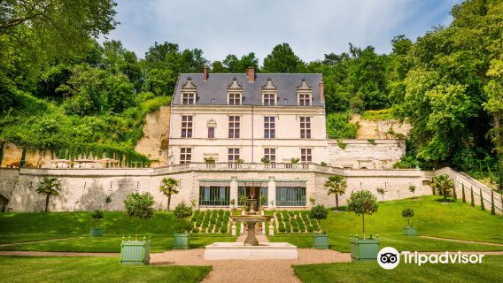 Chateau Gaillard