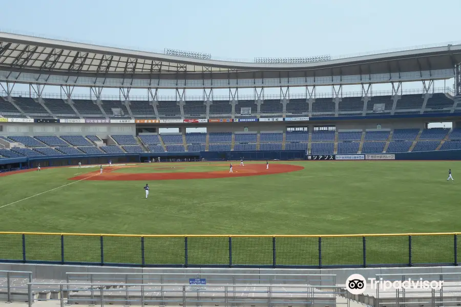 新潟県立野球場