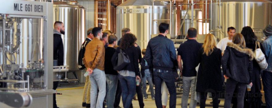 Brasserie artisanale Kiss'Wing, fabrique de bière