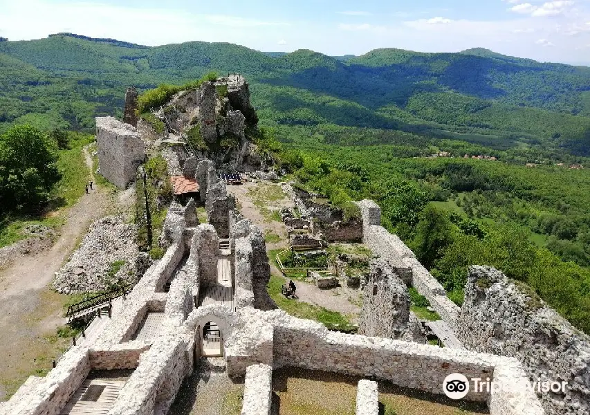 Castle of Regec