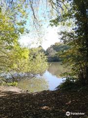 Langold Country Park