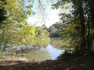 Langold Country Park