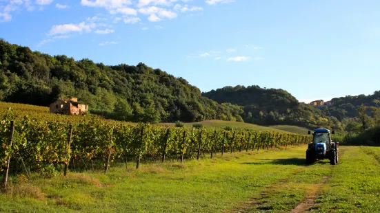 Cantina Giuliano