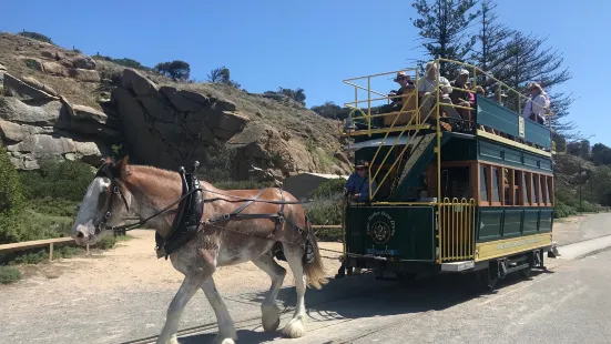 Victor Harbor Horse Drawn Tram