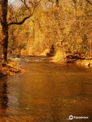 Wolcott Mill Farm Center