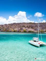 Sorties catamaran Martinique : Ty Domino