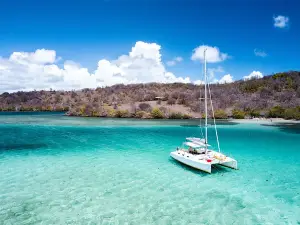 Sorties catamaran Martinique : Ty Domino