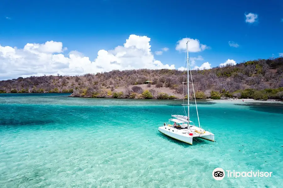 Sorties catamaran Martinique : Ty Domino