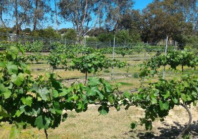 Coward and Black Vineyards