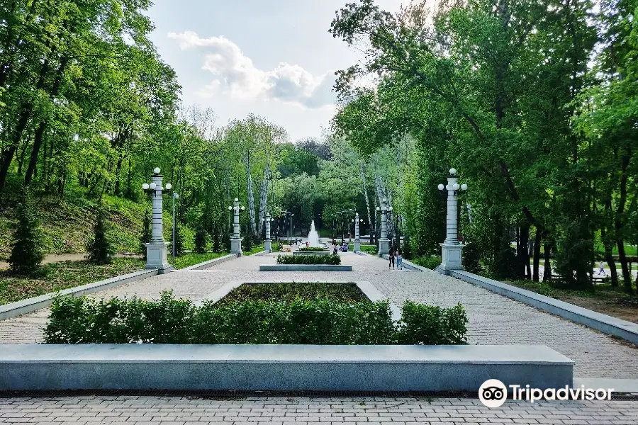 Voronezhskiy Tsentral'nyy Park Kul'tury I Otdykha